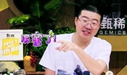 何炅老家爆料视频播放下载,播放下载量惊人